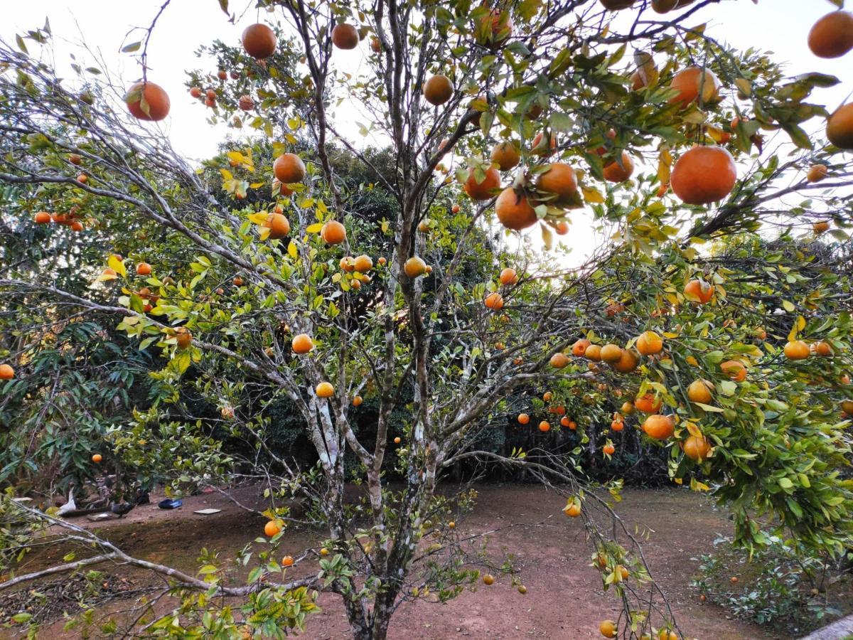 Casa De Campo Lazer Completo Paraiso De Reservas Naturais Em Sp Villa Ibiúna Kültér fotó